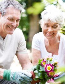 9 Tips for Avoiding Back Pain Caused by Yard Work 9 Tips for Avoiding Back Pain Caused by Yard Work